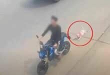 Thai man fined 10,000 baht for dragging dog with motorcycle
