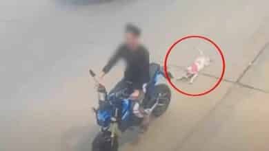 Thai man fined 10,000 baht for dragging dog with motorcycle
