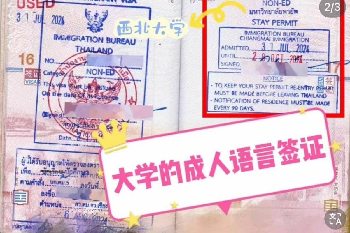 Illegal visa foreigners