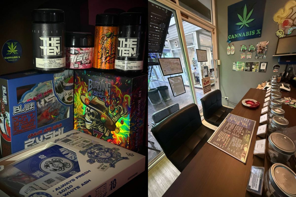 Cannabis X, a weed shop in Sukhumvit, Bangkok