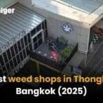 Best weed shops in Thonglor [2025] | Thaiger