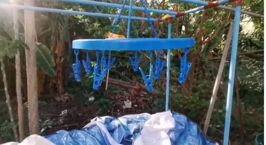 Perverted panty thief caught after mum lends undies in saucy sting | News by Thaiger