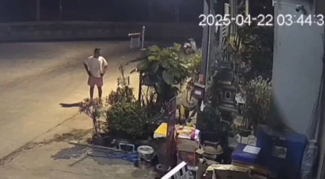 Perverted panty thief caught after mum lends undies in saucy sting | News by Thaiger