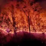 Mae Hong Son battles wildfires and hazardous smoke levels | Thaiger