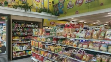 Boozed-up Belgian tourist smashes up store in drunken rampage