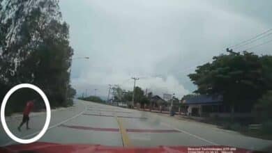 Death dash: Thai man killed after running into traffic in Chon Buri