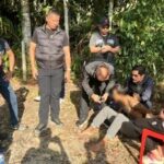 Thai police capture notorious gunman at Surat Thani resort