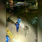 Sea tragedy: Dead dolphin found near Phuket sparks investigation | Thaiger