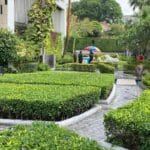 Naked Russian woman falls to death from Pattaya condo | Thaiger