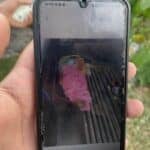 Newborn abandoned in pickup truck in Phuket, rescued