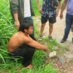 Meth fiend’s brutal pork heist leaves vendor fighting for life | Thaiger