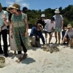 Thailand launches e-ticket system in marine parks