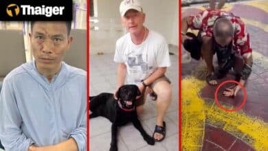 Thailand video news | Chinese Man Denied Bail for Pattaya Murder, Search Continues for Missing Brit Daniel Hall