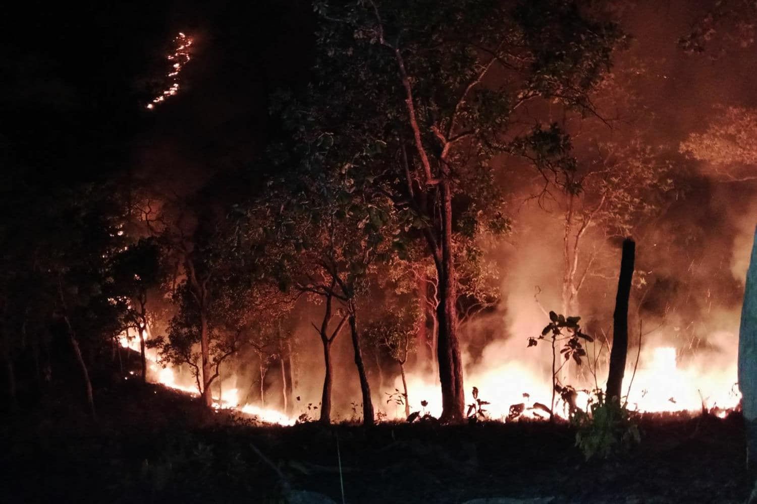 Thai national park wildfire hero dies in motorcycle accident | News by Thaiger