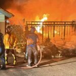 Fire devastates Ayutthaya home, numerous pets lost | Thaiger