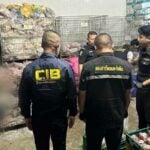 Thai police raid uncovers illegal pork carcasses in Pathum Thani