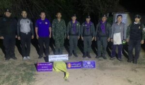 Thai task force seizes 300,000 meth tablets in drug bust