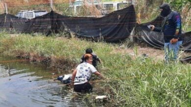Thai motorcyclist dies after crash into cement post and pond