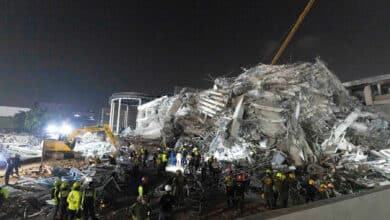 Purr-severance: Cat rescued from Bangkok rubble becomes a star