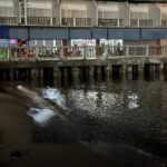 Randy Russian couple make waves with x-rated Pattaya Beach romp | Thaiger