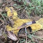 Mysterious skeleton found in Chaiyaphum pond with yellow shirt | Thaiger