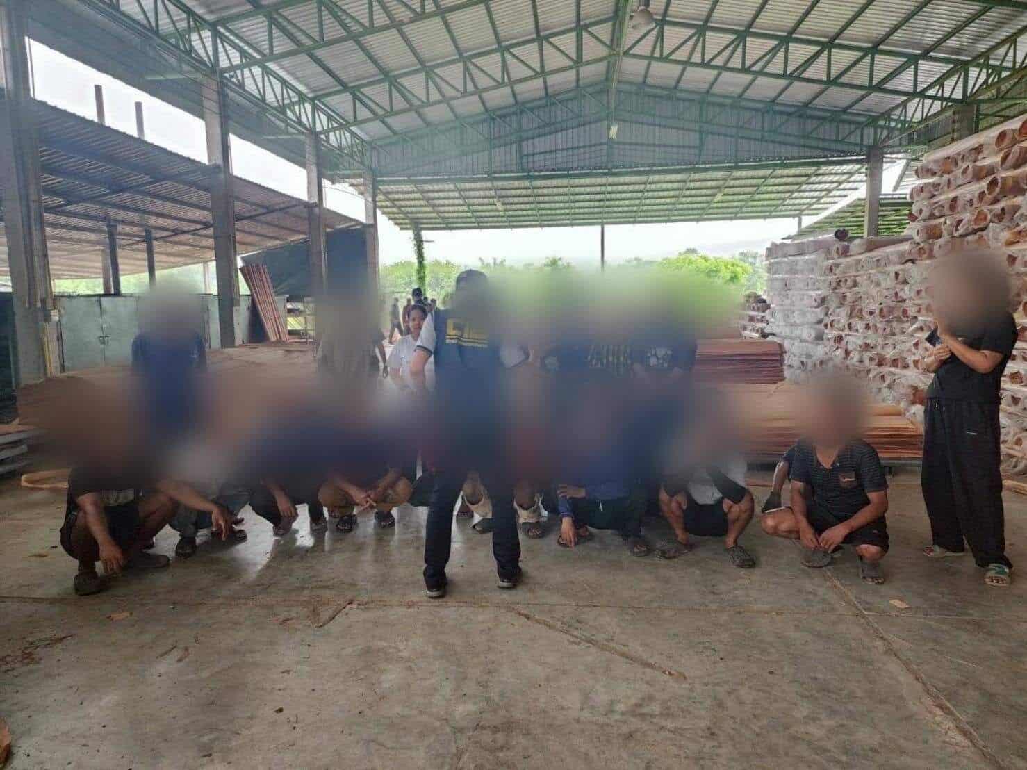 Police raid illegal sawmill linked to Chinese operators in Phitsanulok | News by Thaiger