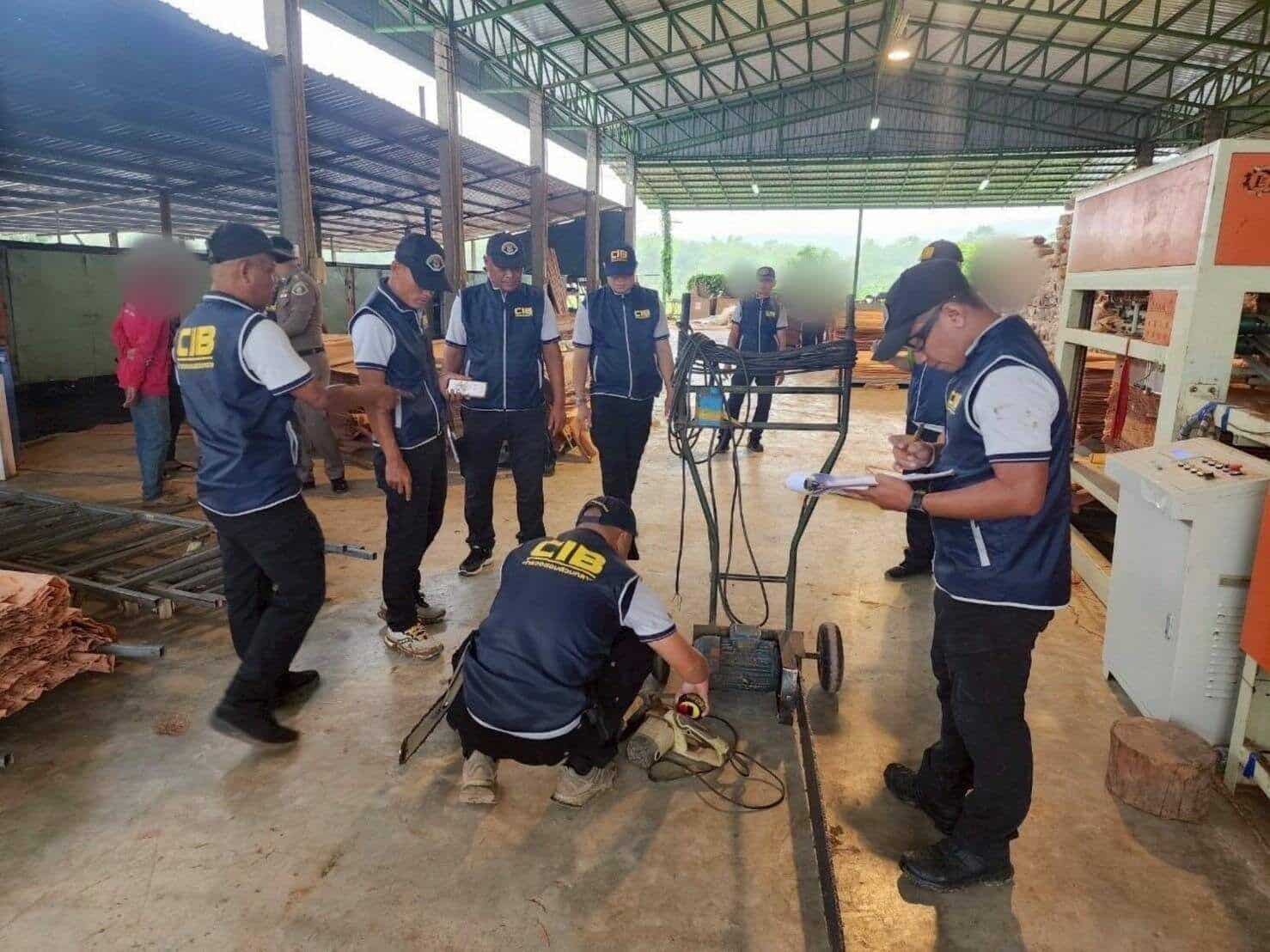 Police raid illegal sawmill linked to Chinese operators in Phitsanulok | News by Thaiger