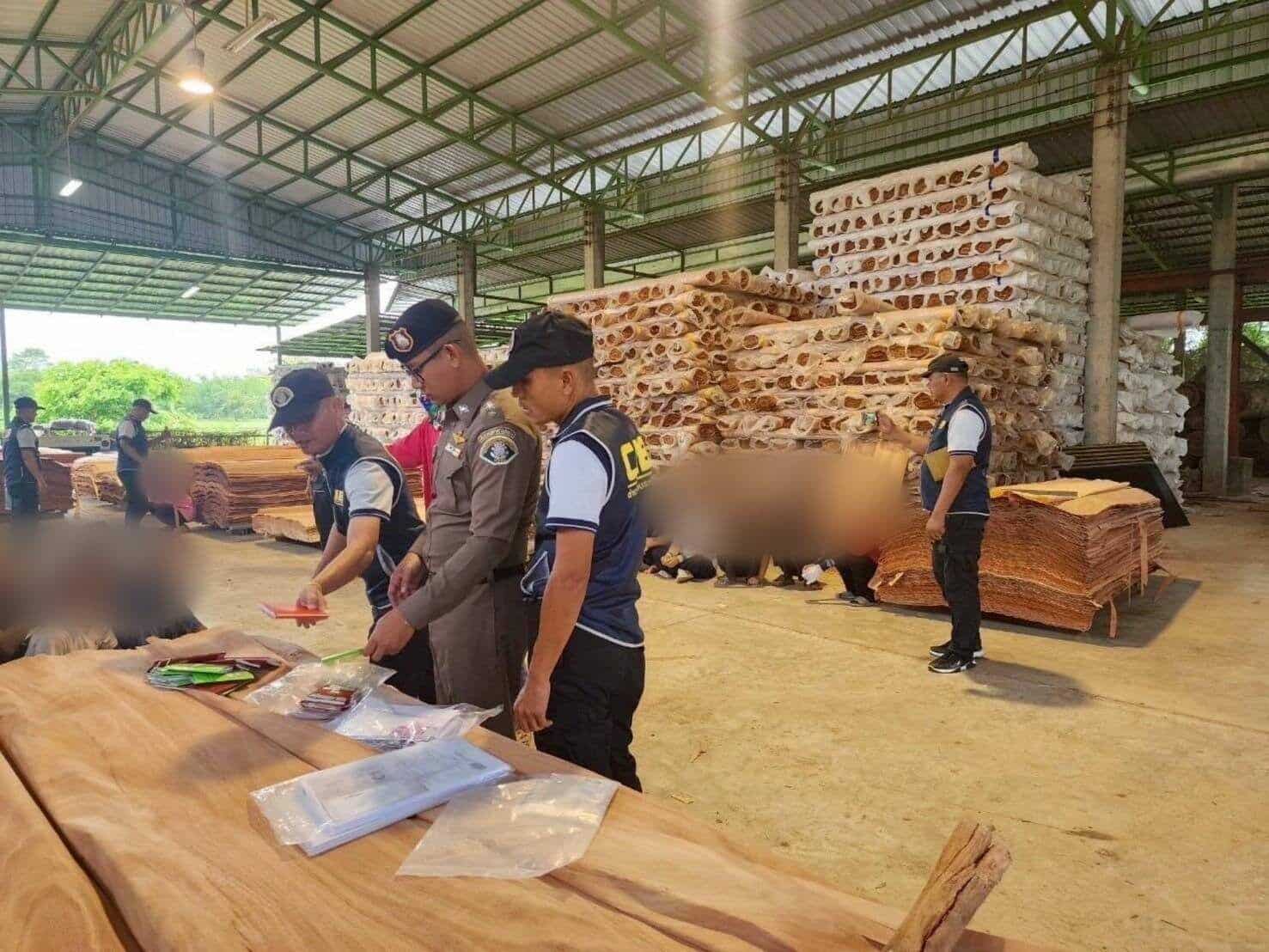 Police raid illegal sawmill linked to Chinese operators in Phitsanulok | News by Thaiger