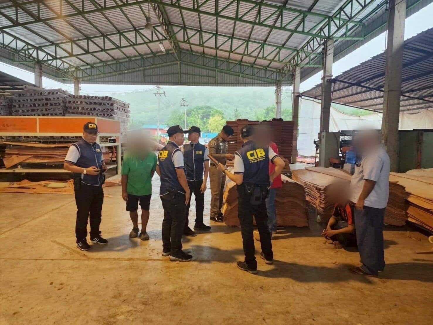 Police raid illegal sawmill linked to Chinese operators in Phitsanulok | News by Thaiger
