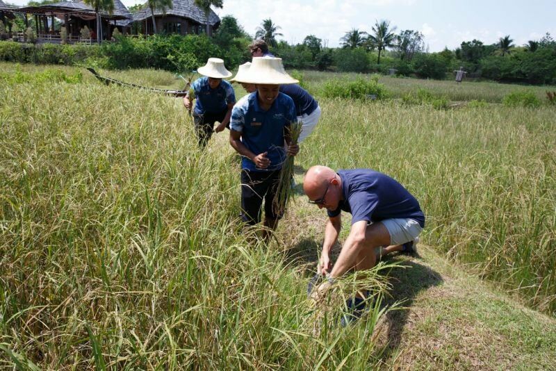 UK roadshow rocks South Thailand with fair, farms and flair | News by Thaiger