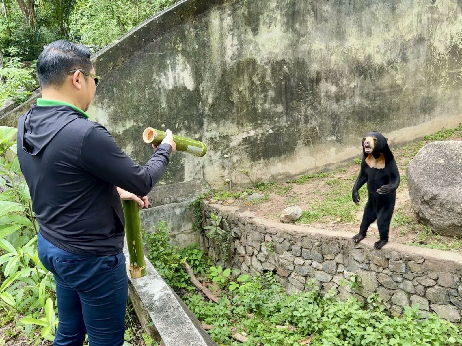 Pattaya zoo rolls out ice treats to beat the heat | News by Thaiger