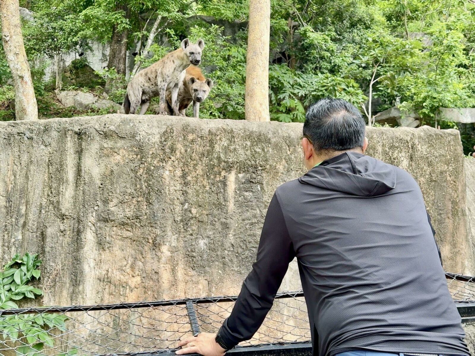 Pattaya zoo rolls out ice treats to beat the heat | News by Thaiger