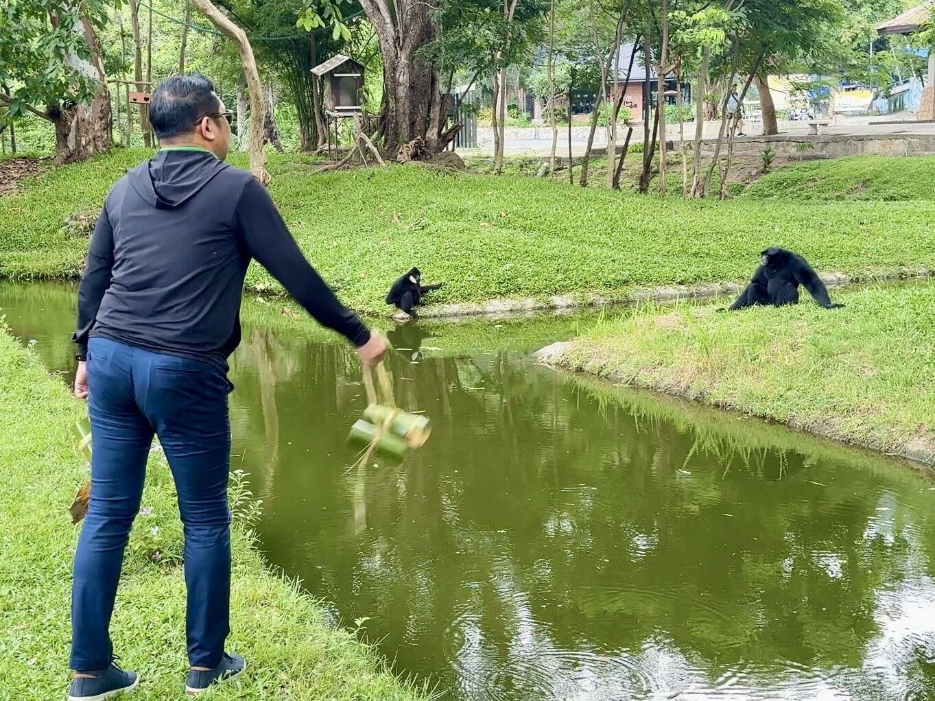 Pattaya zoo rolls out ice treats to beat the heat | News by Thaiger