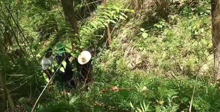 Missing man found dead in Tak mountains after month-long search | News by Thaiger