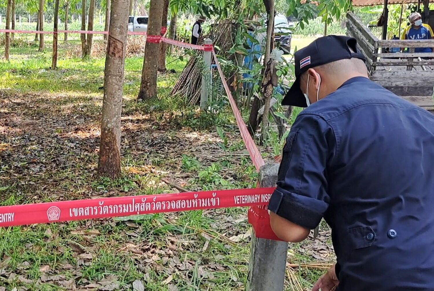 Thailand reports first anthrax death in 30 years, health alert issued | News by Thaiger