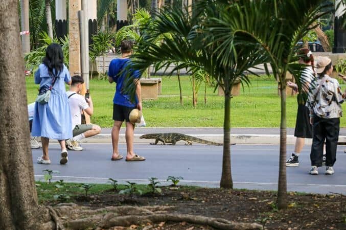 Giant monitor lizard statue draws crowds to Bangkok park | News by Thaiger