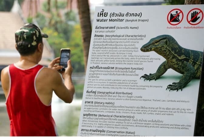 Giant monitor lizard statue draws crowds to Bangkok park | News by Thaiger