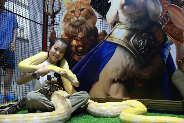 Pet Expo 2025 goes wild with stars, snakes and shopping galore (video) | News by Thaiger