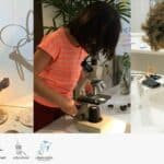 ELC Summer School 2025 – Festival of the Arts | Thaiger