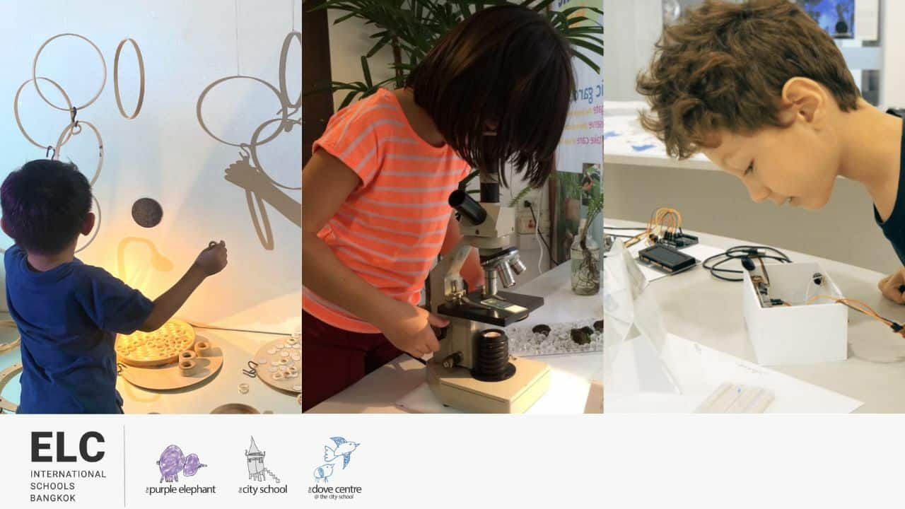 ELC Summer School 2025 – Festival of the Arts