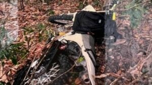 Thai motocross rider dies in cliff fall after fleeing wasps