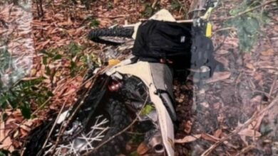 Thai motocross rider dies in cliff fall after fleeing wasps