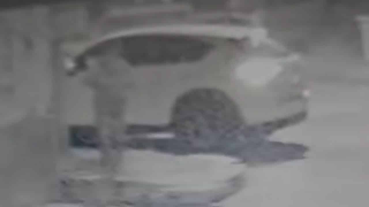 Thai man drives car to defecate on roadside