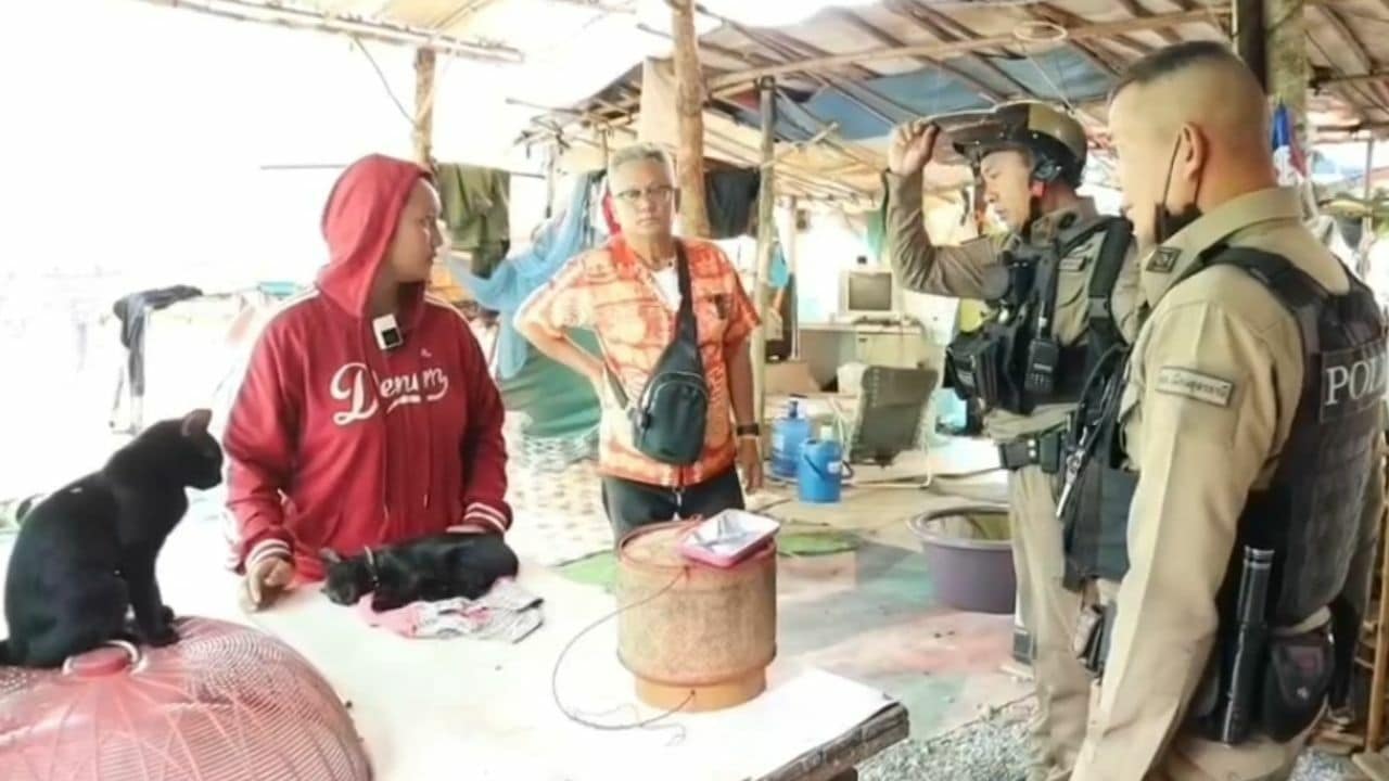 Neighbour shot cat in Udon Thani