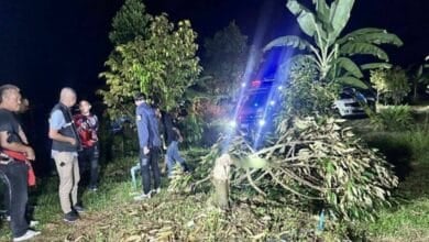 Thai man cites niece’s alleged abuse in murder of her husband