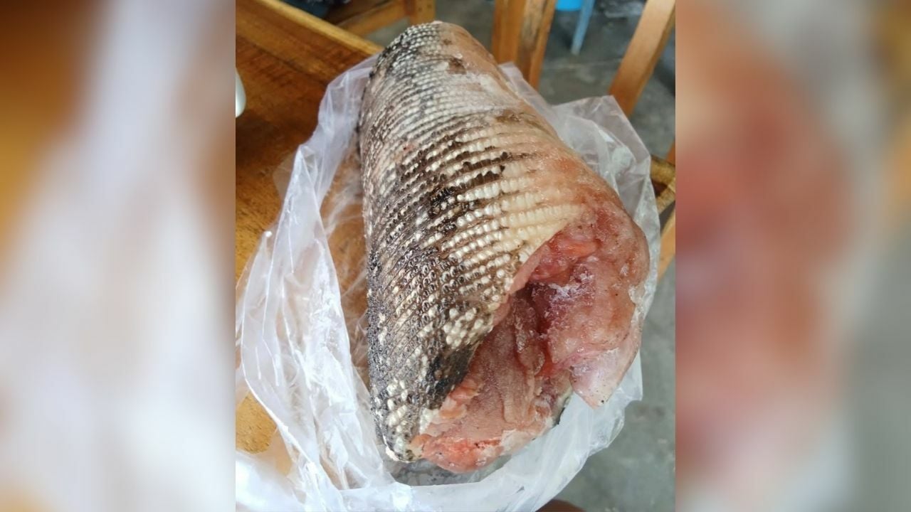 Community chief illegally eats monitor lizard