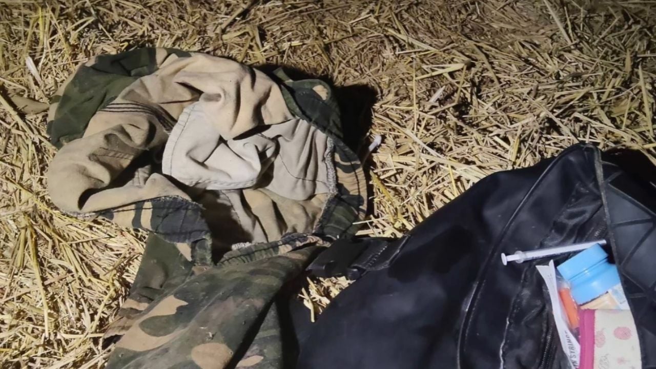 Drug addict attempted sexual activitis with cow and dog