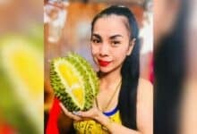 Thai durian vendor disappears with 1 million baht in gold and cash