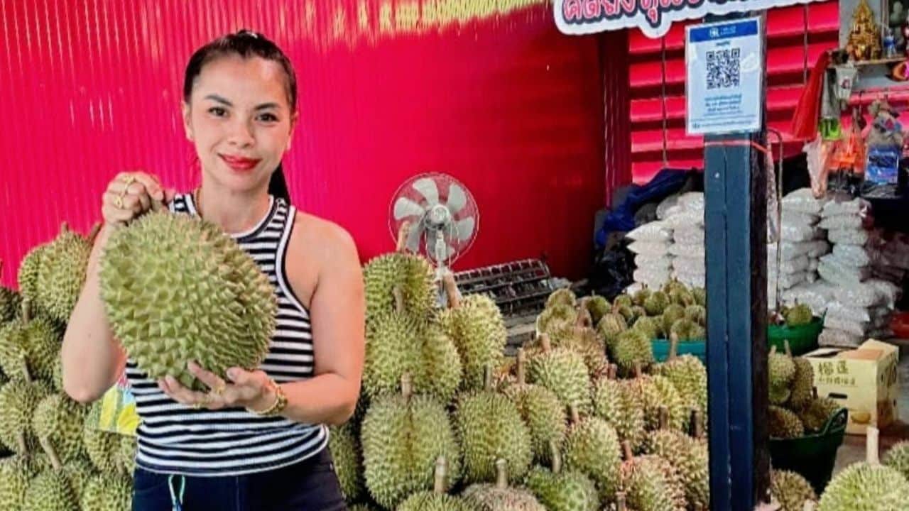 Thai woman in Surat Thani remains missing