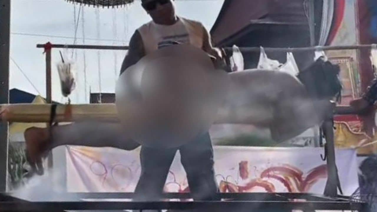 Explicit parade to celebrate Buddhist day sparking drama